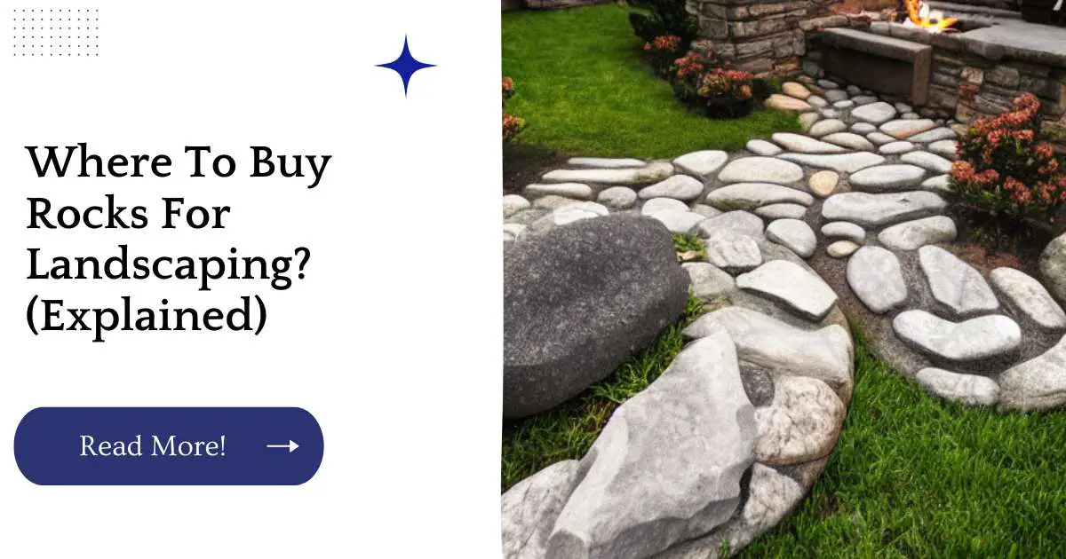 Where To Buy Rocks For Landscaping? (Explained)